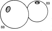 Balls