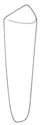 Bow bumper